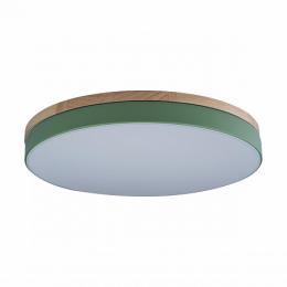 Изображение продукта Потолочный светодиодный светильник Loft IT Axel 10001/36 green 